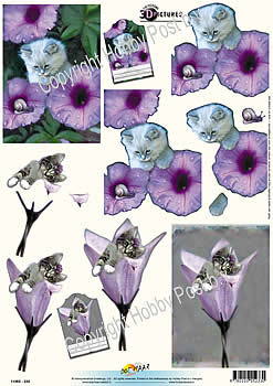 knipvellen/hobbypost/doe maar/DM poesje paarse bloem 11-055-233.jpg